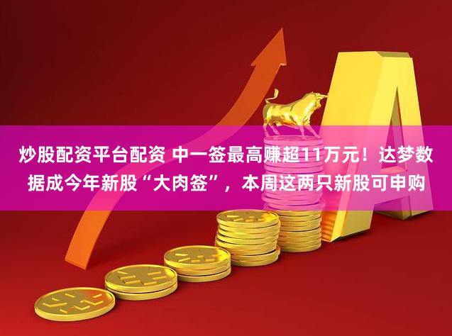 炒股配资平台配资 中一签最高赚超11万元!达梦数据成今年新股“大肉签”,本周这两只新股可申购