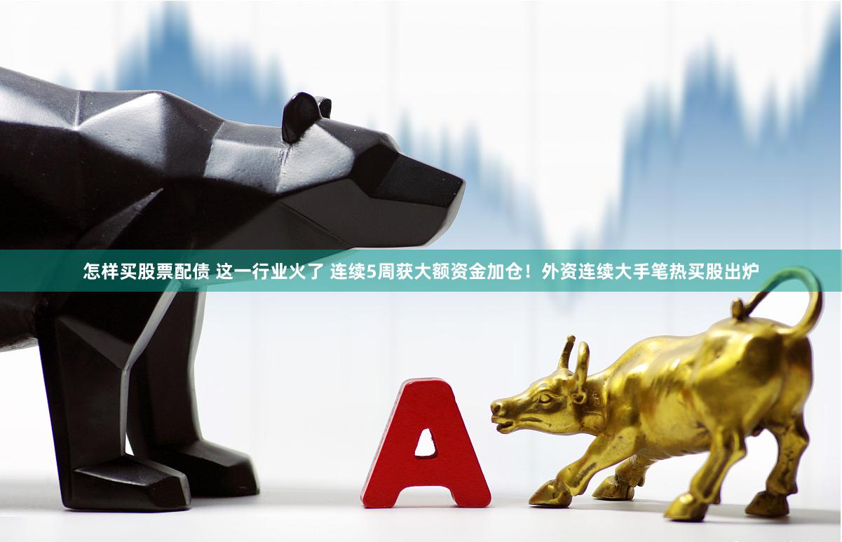 怎样买股票配债 这一行业火了 连续5周获大额资金加仓!外资连续大手笔热买股出炉
