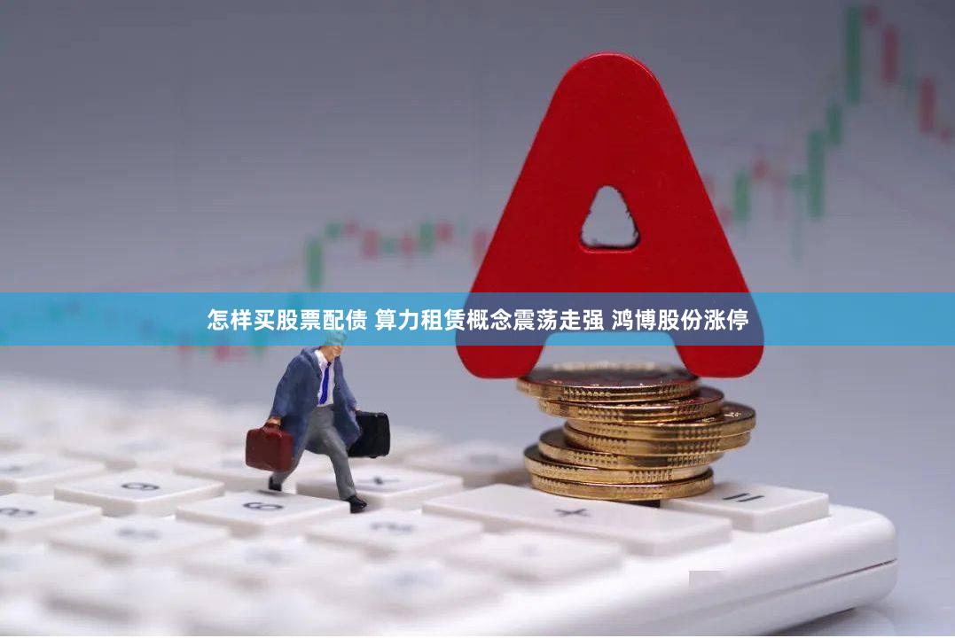 怎样买股票配债 算力租赁概念震荡走强 鸿博股份涨停