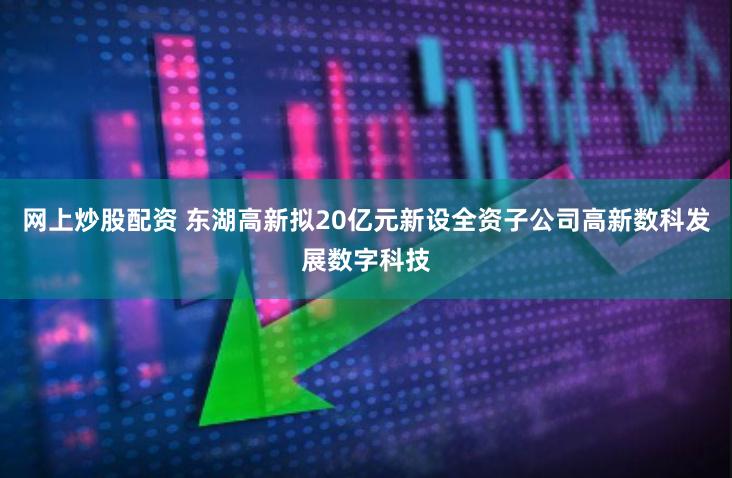网上炒股配资 东湖高新拟20亿元新设全资子公司高新数科发展数字科技
