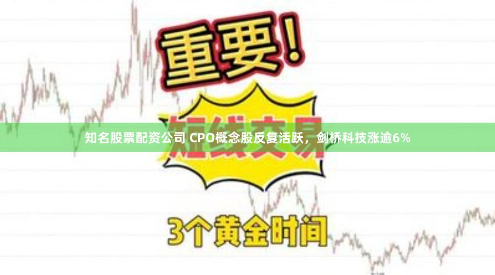 知名股票配资公司 CPO概念股反复活跃,剑桥科技涨逾6%