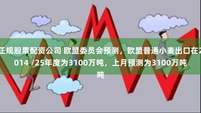正规股票配资公司 欧盟委员会预测,欧盟普通小麦出口在2014 /25年度为3100万吨,上月预测为3100万吨