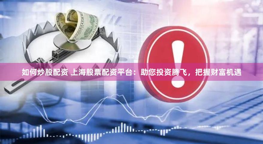 如何炒股配资 上海股票配资平台:助您投资腾飞,把握财富机遇